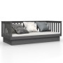 Sofá cama de madera maciza de pino gris 100x200 cm de vidaXL, Camas y somieres - Ref: Foro24-821571, Precio: 159,96 €, Descue...