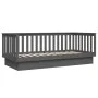 Gray solid pine wood sofa bed 80x200 cm by vidaXL, Beds and slatted bases - Ref: Foro24-821561, Price: 155,42 €, Discount: %