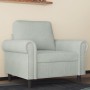 Sillón de terciopelo gris claro 60 cm en Sofás | Comprar online en Foru.es