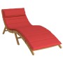 Cojín de tumbona de tela Oxford rojo 180x60x4 cm en Decoración | Comprar online en Foru.es