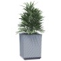 Jardineras 2 unidades polipropileno gris claro 30x30x37 cm en Macetas y jardineras | Comprar online en Foru.es