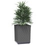 Jardineras 2 uds polipropileno negro 30x30x37 cm en Macetas y jardineras | Comprar online en Foru.es
