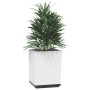 Jardineras 2 unidades polipropileno blanco 30x30x37 cm en Macetas y jardineras | Comprar online en Foru.es