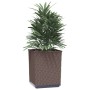 Jardineras 2 unidades polipropileno marrón 30x30x37 cm en Macetas y jardineras | Comprar online en Foru.es