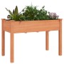 Jardinera con forro madera maciza de abeto marrón 118x59x76 cm en Macetas y jardineras | Comprar online en Foru.es