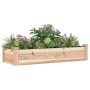 Jardinera arriate con forro madera maciza abeto 120x45x25 cm en Macetas y jardineras | Comprar online en Foru.es