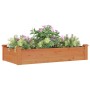 Jardinera arriate forro madera maciza abeto marrón 120x60x25 cm en Macetas y jardineras | Comprar online en Foru.es