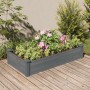 Jardinera arriate forro madera maciza abeto gris 120x60x25 cm en Macetas y jardineras | Comprar online en Foru.es