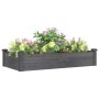Jardinera arriate forro madera maciza abeto gris 120x60x25 cm en Macetas y jardineras | Comprar online en Foru.es