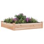 Jardinera arriate con forro madera maciza abeto 120x60x25 cm en Macetas y jardineras | Comprar online en Foru.es
