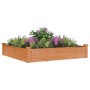 Jardinera arriate forro madera maciza abeto marrón 120x120x25cm en Macetas y jardineras | Comprar online en Foru.es