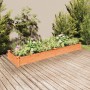 Jardinera arriate con forro madera abeto marrón 240x60x25 cm en Macetas y jardineras | Comprar online en Foru.es