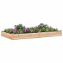 Jardinera arriate con forro madera maciza abeto 240x120x25 cm en Macetas y jardineras | Comprar online en Foru.es