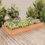 Jardinera arriate con forro madera abeto marrón 240x120x25 cm en Macetas y jardineras | Comprar online en Foru.es