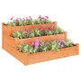 Jardinera arriate madera maciza de abeto marrón 120x120x56 cm en Macetas y jardineras | Comprar online en Foru.es