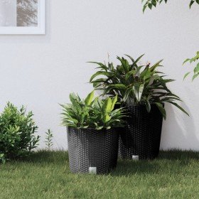 Macetero interior extraíble PP ratán gris antracita 15/15,3 L en Macetas y jardineras | Comprar online en Foru.es
