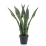 Emerald Sansevieria artificial en maceta 55 cm de Emerald, Flora artificial - Ref: Foro24-423636, Precio: 38,26 €, Descuento: %