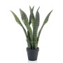 Emerald Sansevieria artificial en maceta 55 cm de Emerald, Flora artificial - Ref: Foro24-423636, Precio: 38,26 €, Descuento: %