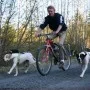 SPRINGER Dog Bicycle Exercise Kit by SPRINGER, Pet Leashes - Ref: Foro24-428413, Price: 93,09 €, Discount: %