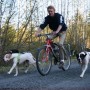 SPRINGER Kit de ejercicio de bicicleta para perros de SPRINGER, Correas para mascotas - Ref: Foro24-428413, Precio: 91,94 €, ...