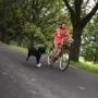 SPRINGER Dog Bicycle Exercise Kit by SPRINGER, Pet Leashes - Ref: Foro24-428413, Price: 93,09 €, Discount: %