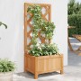 Jardinera con enrejado de madera maciza de abeto marrón en Macetas y jardineras | Comprar online en Foru.es
