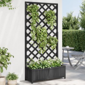 Jardinera con enrejado madera maciza de abeto negro en Macetas y jardineras | Comprar online en Foru.es