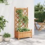 Jardinera con enrejado de madera maciza de abeto marrón en Macetas y jardineras | Comprar online en Foru.es
