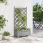 Jardinera con enrejado madera maciza de abeto gris en Macetas y jardineras | Comprar online en Foru.es