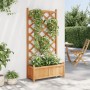 Jardinera con enrejado de madera maciza de abeto marrón en Macetas y jardineras | Comprar online en Foru.es