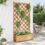 Jardinera con enrejado de madera maciza de abeto marrón en Macetas y jardineras | Comprar online en Foru.es
