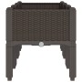 Jardinera con patas PP marrón 120x40x42 cm en Macetas y jardineras | Comprar online en Foru.es
