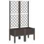 Jardinera con enrejado PP marrón 80x40x142 cm en Macetas y jardineras | Comprar online en Foru.es