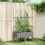 Jardinera con enrejado PP gris claro 80x40x142,5 cm en Macetas y jardineras | Comprar online en Foru.es
