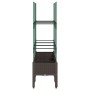 Jardinera con enrejado PP marrón 120x40x142,5 cm en Macetas y jardineras | Comprar online en Foru.es