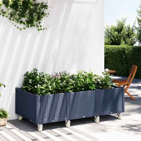 Jardinera con ruedas PP azul gris 150x80x54 cm en Macetas y jardineras | Comprar online en Foru.es