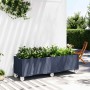 Jardinera con ruedas PP azul gris 160x50x54 cm en Macetas y jardineras | Comprar online en Foru.es