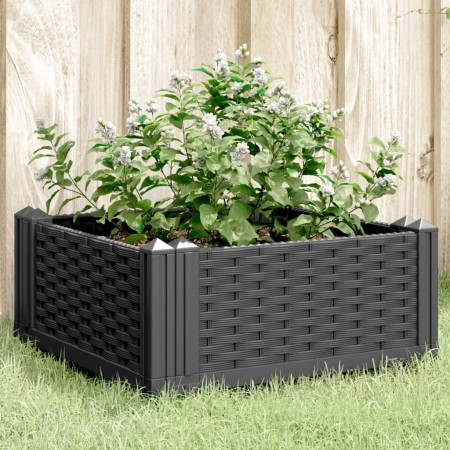 Jardinera con clavijas PP negro 42,5x42,5x28,5 cm en Macetas y jardineras | Comprar online en Foru.es