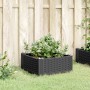 Jardinera con clavijas PP negro 42,5x42,5x28,5 cm en Macetas y jardineras | Comprar online en Foru.es