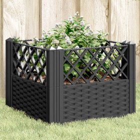 Jardinera con clavijas PP negro 43,5x43,5x43,5 cm en Macetas y jardineras | Comprar online en Foru.es