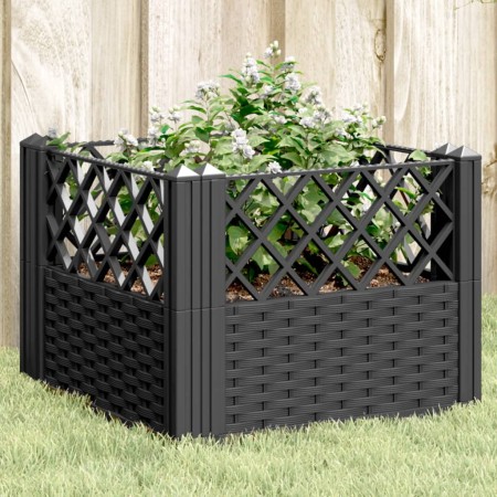 Jardinera con clavijas PP negro 43,5x43,5x43,5 cm en Macetas y jardineras | Comprar online en Foru.es
