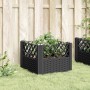 Jardinera con clavijas PP negro 43,5x43,5x43,5 cm en Macetas y jardineras | Comprar online en Foru.es