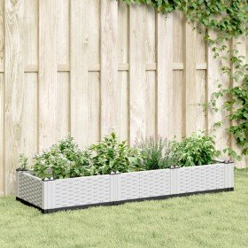 Jardinera con clavijas PP blanco 125x40x28,5 cm en Macetas y jardineras | Comprar online en Foru.es
