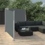 Toldo lateral retráctil gris antracita 100x600 cm de vidaXL, Sombrillas - Ref: Foro24-48444, Precio: 100,59 €, Descuento: %