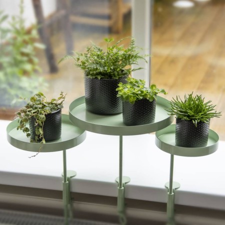 Esschert Design Bandeja para plantas con abrazadera redonda verde L de Esschert Design, Bandejas decorativas - Ref: Foro24-44...