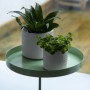 Esschert Design Bandeja para plantas con abrazadera redonda verde L de Esschert Design, Bandejas decorativas - Ref: Foro24-44...