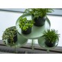 Esschert Design Bandeja para plantas con abrazadera redonda verde L de Esschert Design, Bandejas decorativas - Ref: Foro24-44...