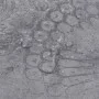 Lamas para suelo de PVC autoadhesivas gris cemento 4,46 m² 3 mm de vidaXL, Suelos y moquetas - Ref: Foro24-146574, Precio: 90...