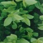 Grünes PVC-Zaunelement 35 x 0,19 m von vidaXL, Zaunpaneele - Ref: Foro24-147849, Preis: 41,32 €, Rabatt: %