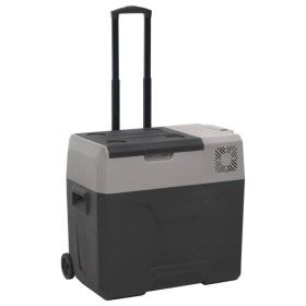 Nevera con ruedas y asa polipropileno negro y gris 50 L de vidaXL, Neveras - Ref: Foro24-51783, Precio: 305,88 €, Descuento: %